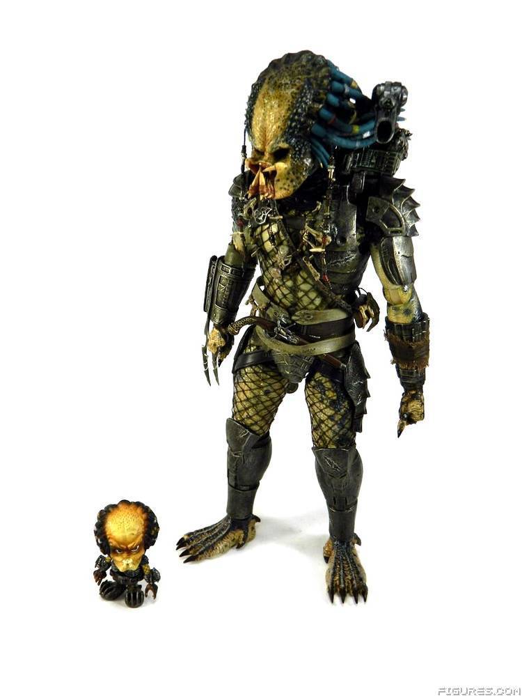 Elder Predator