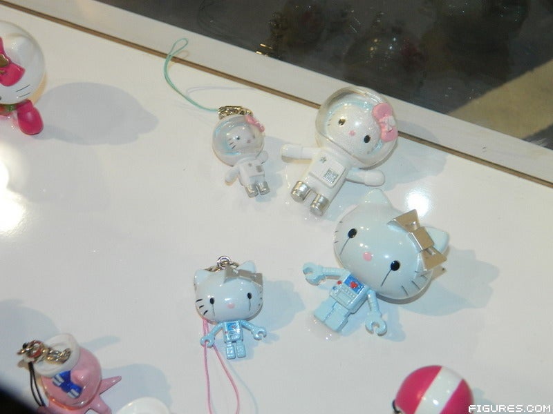 DSCN46225