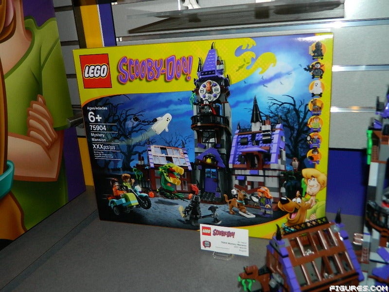DSCN66083