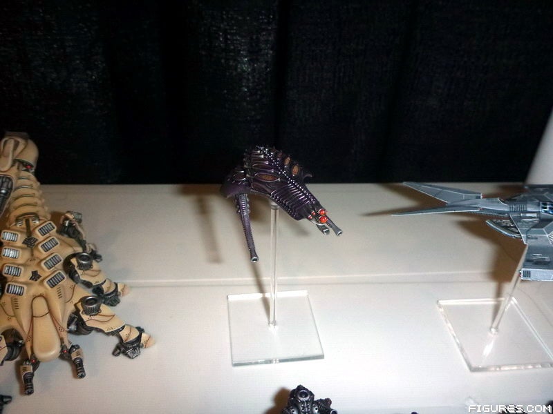 hawk14