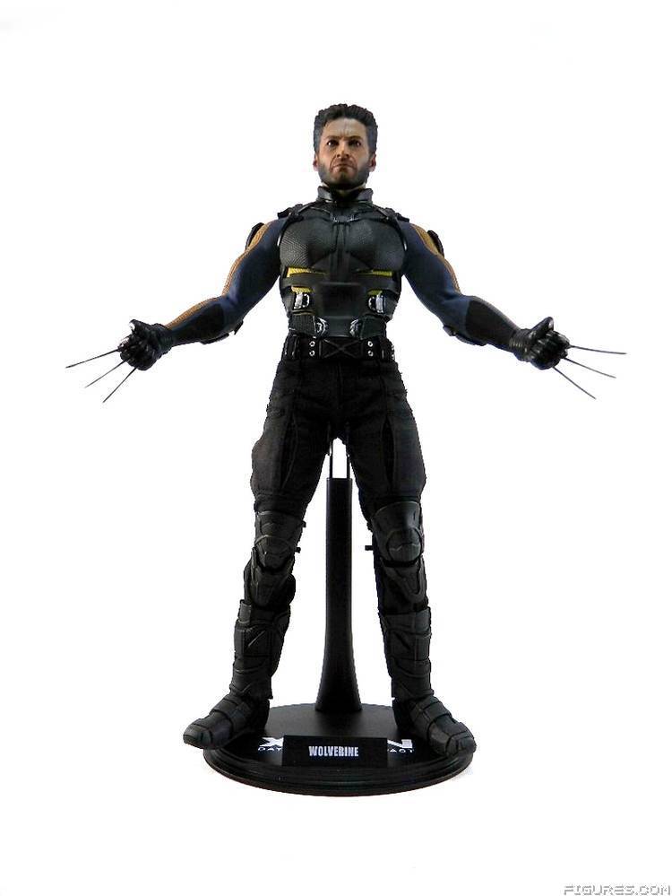 Wolverine