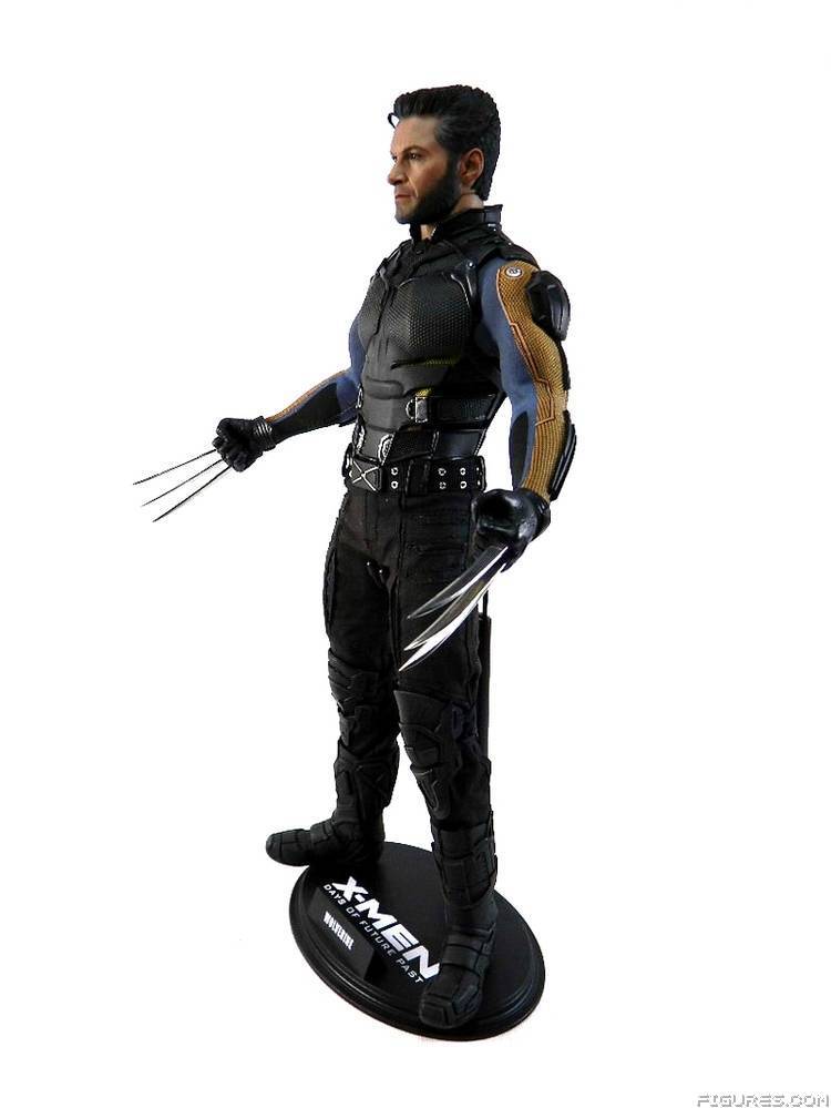 Wolverine