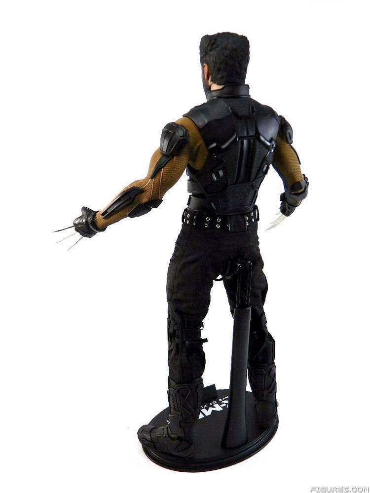 Wolverine