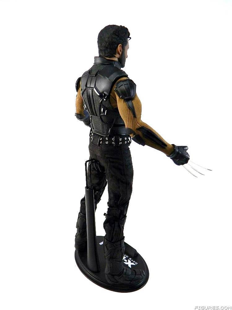 Wolverine