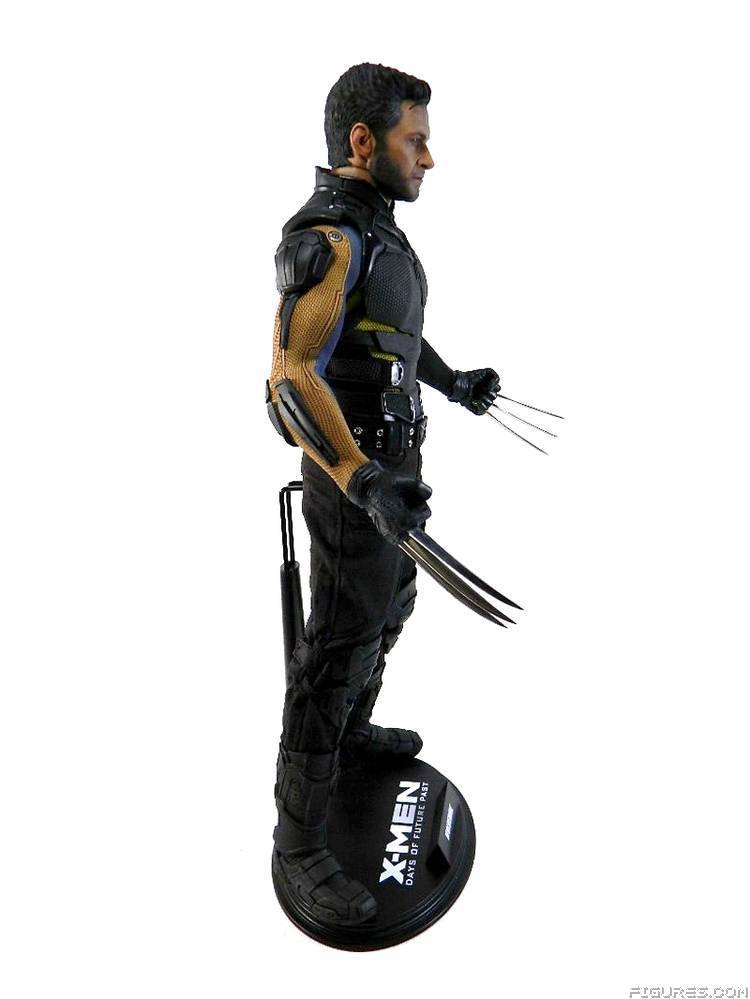 Wolverine