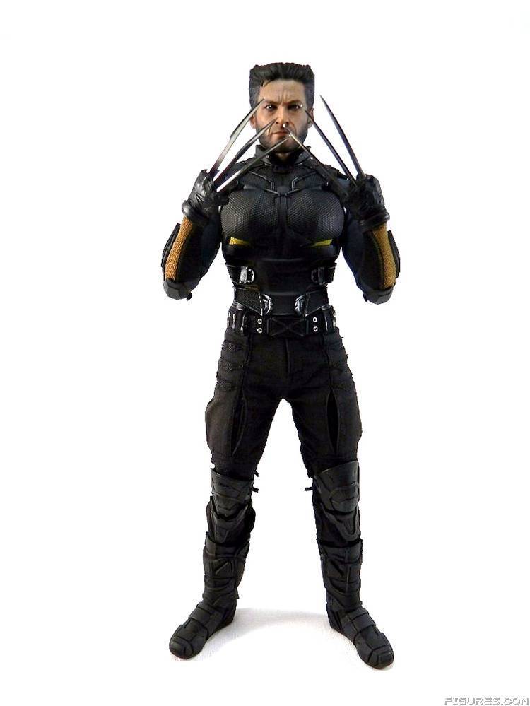 Wolverine