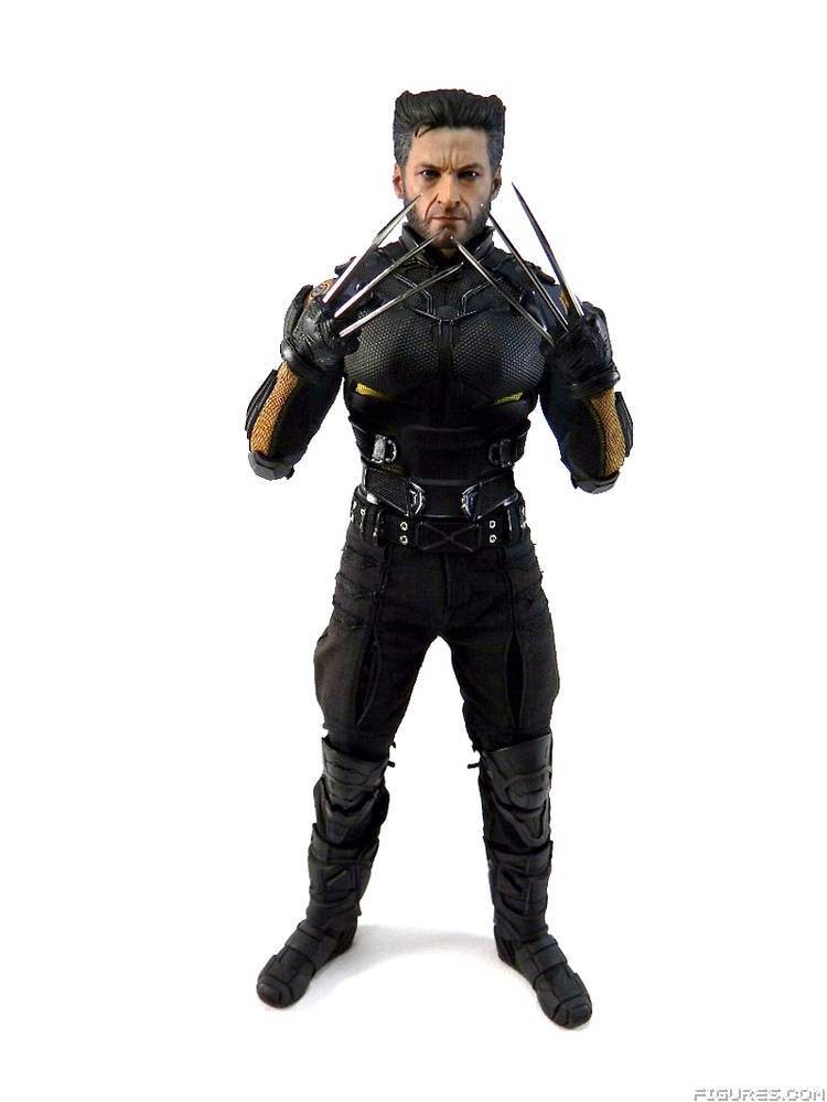Wolverine