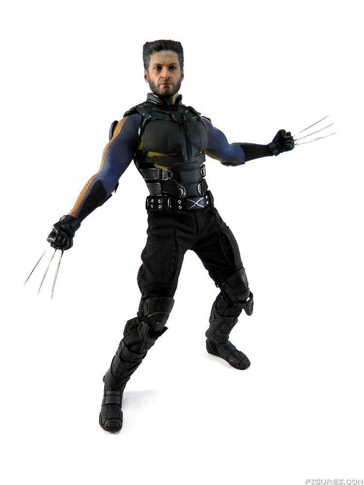 Wolverine