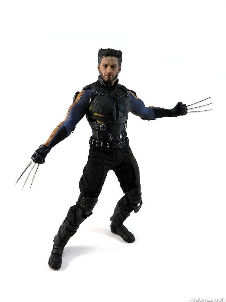Wolverine