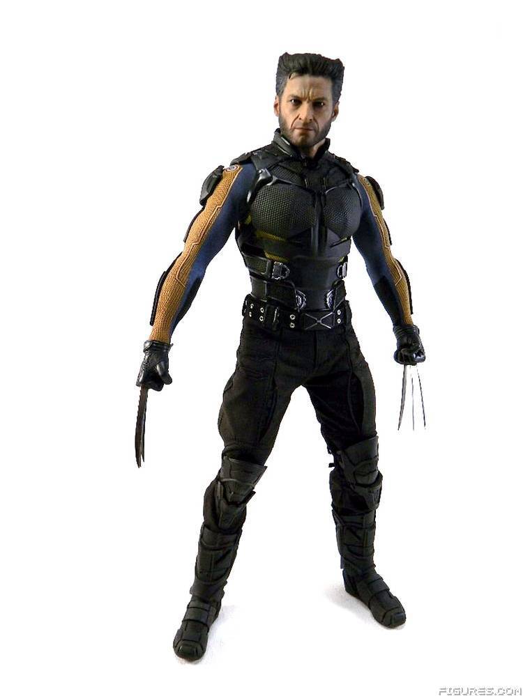 Wolverine