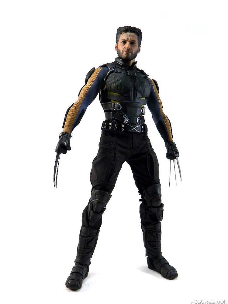Wolverine