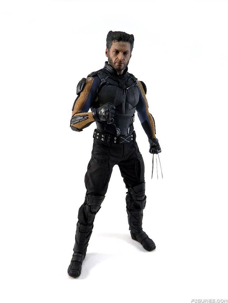 Wolverine