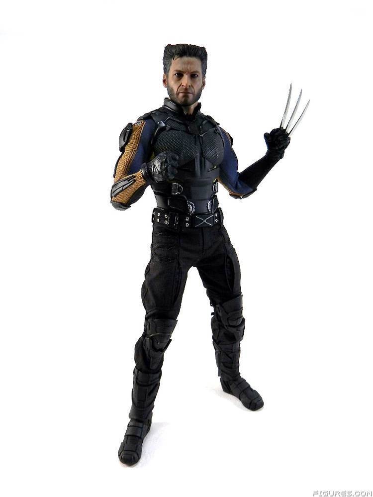 Wolverine