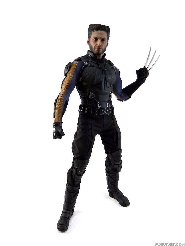 Wolverine