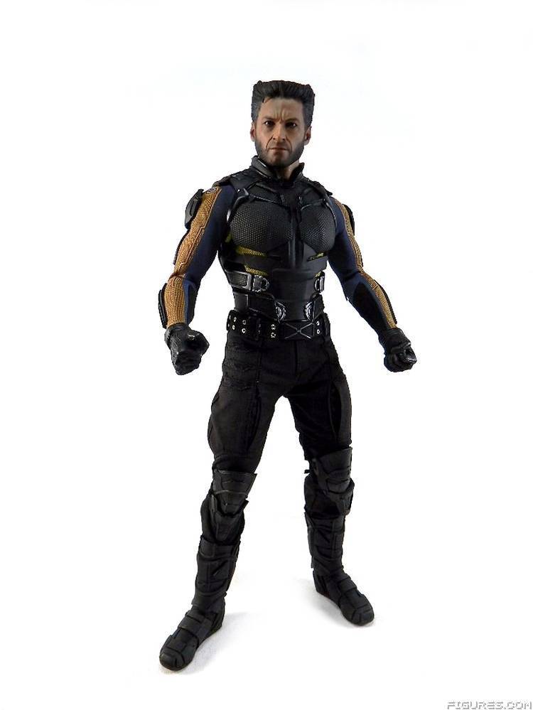 Wolverine