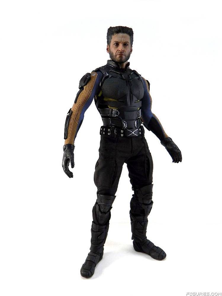 Wolverine