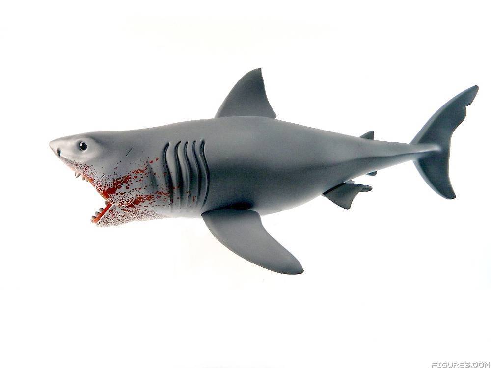 Jaws