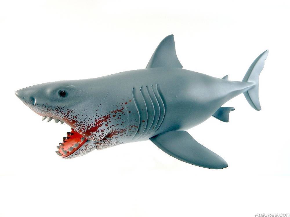 Jaws