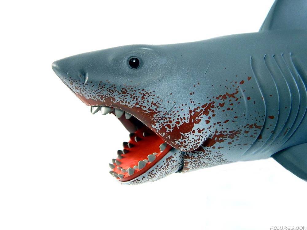 Jaws