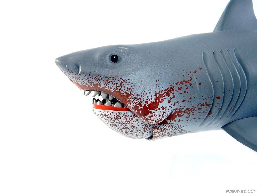 Jaws