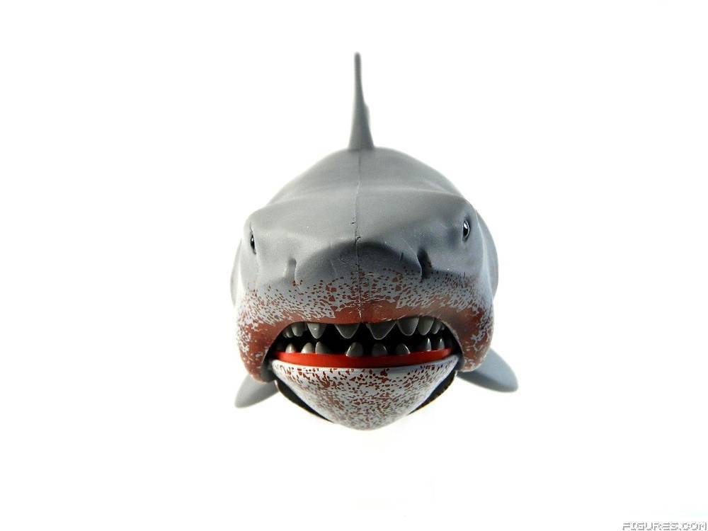 Jaws