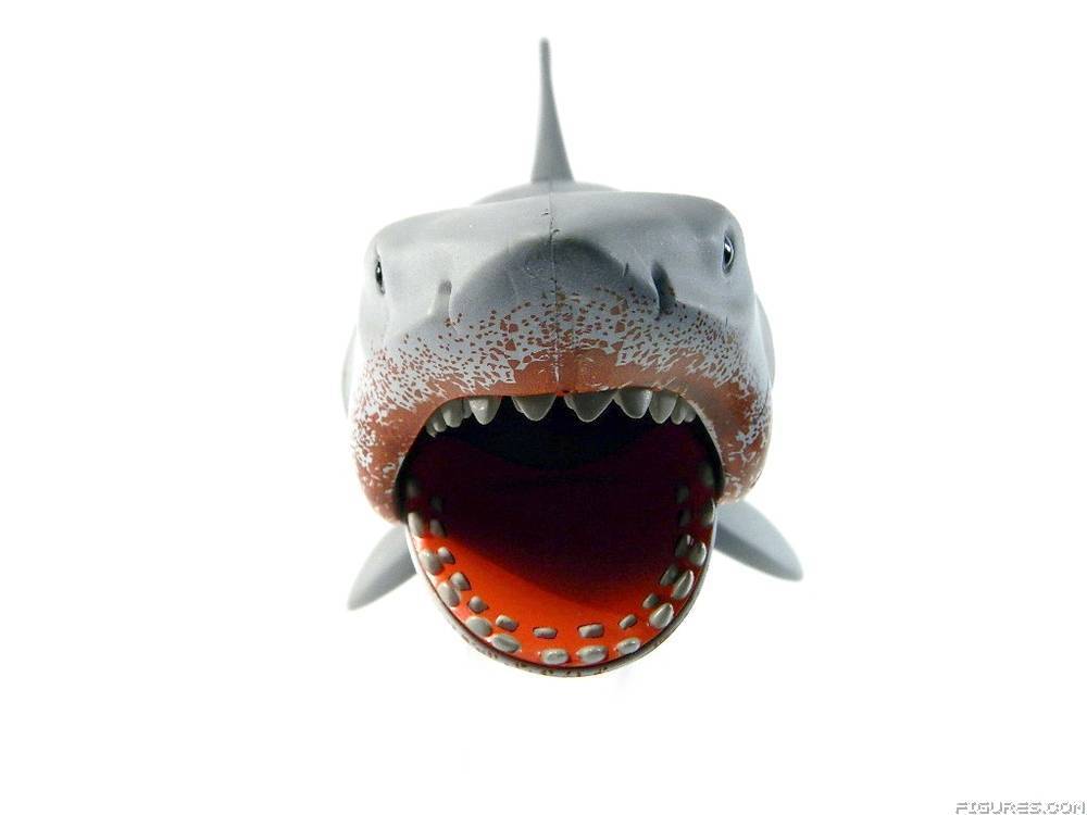 Jaws
