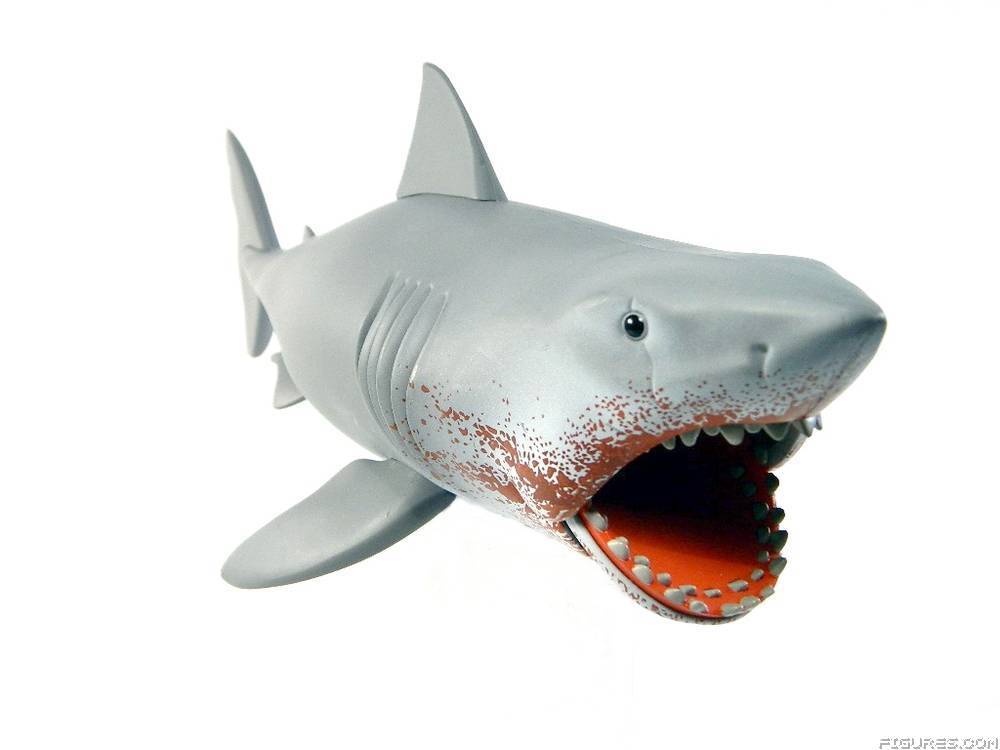 Jaws