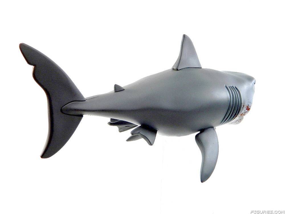 Jaws