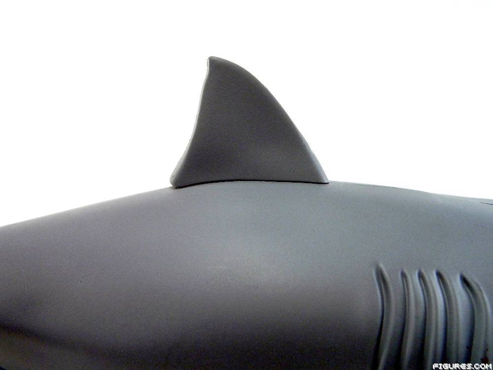 Jaws