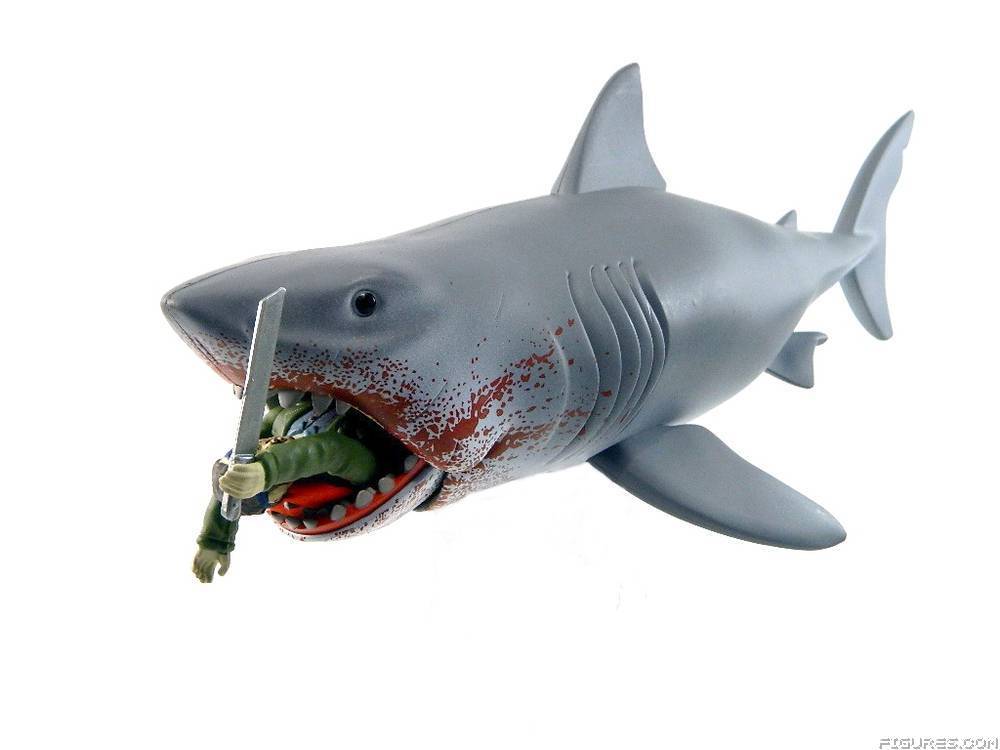 Jaws