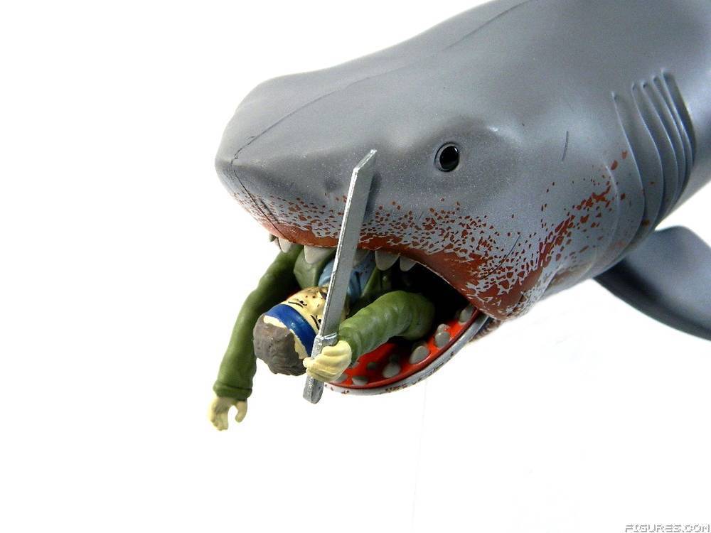 Jaws