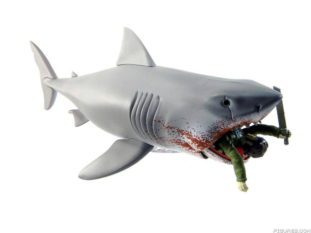 Jaws