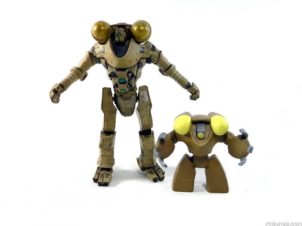 Pacific Rim