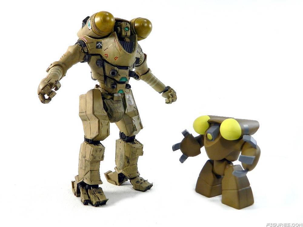 Pacific Rim