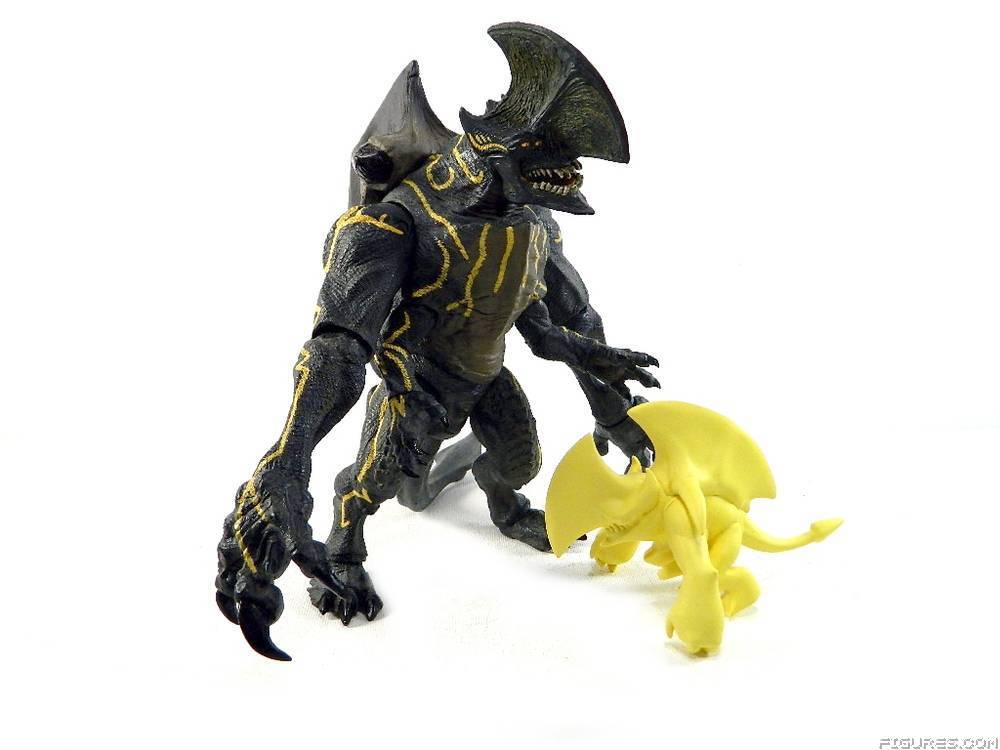 Pacific Rim