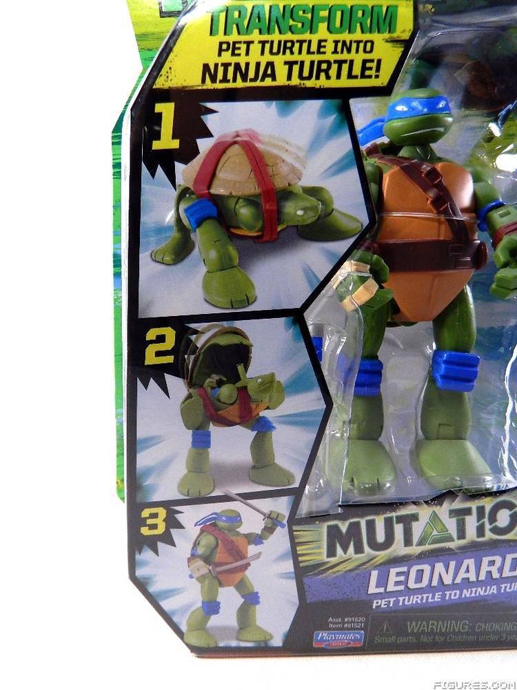 TMNT