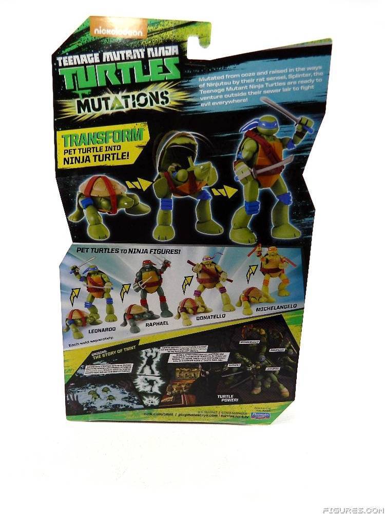 TMNT