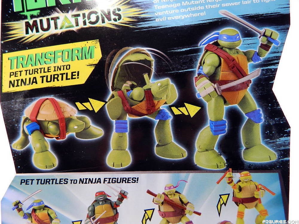 TMNT