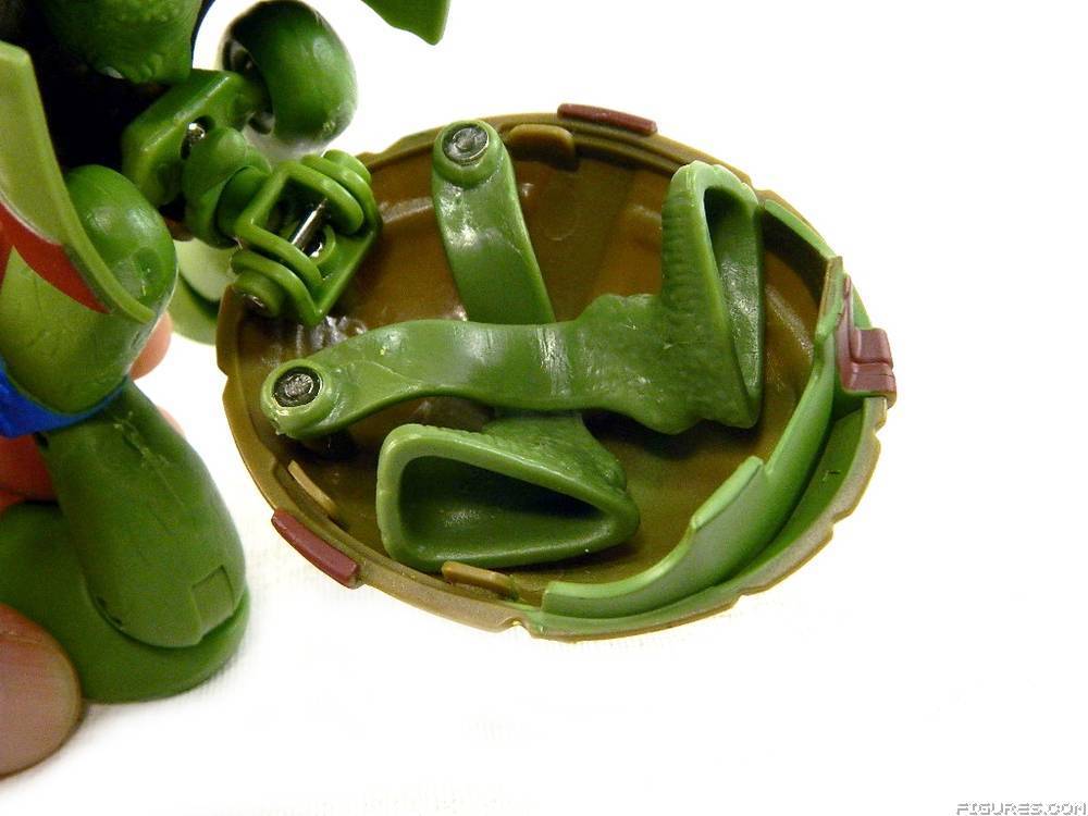 TMNT