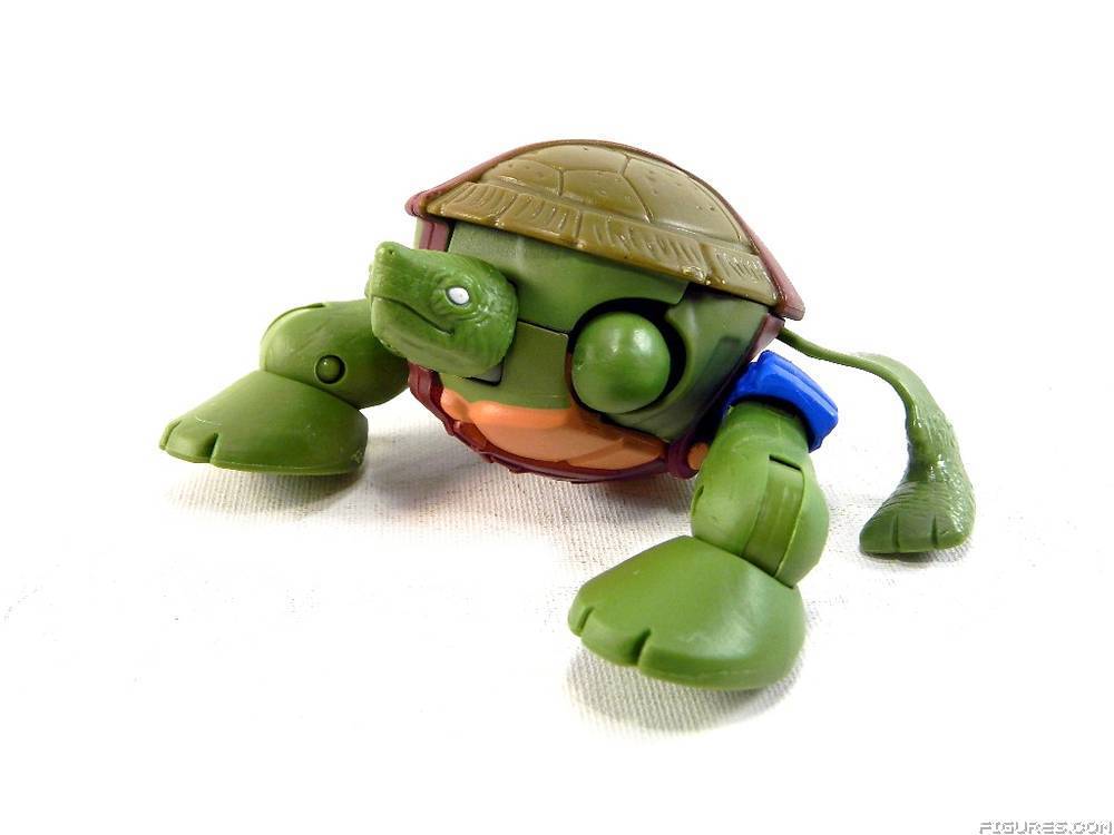 TMNT