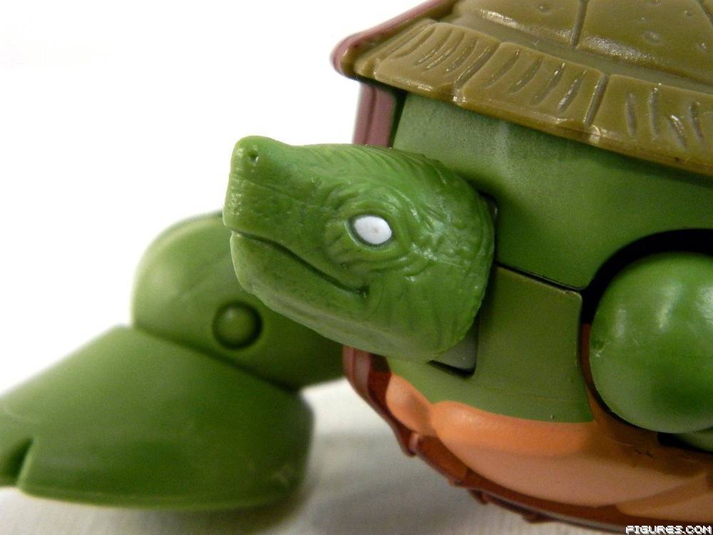 TMNT