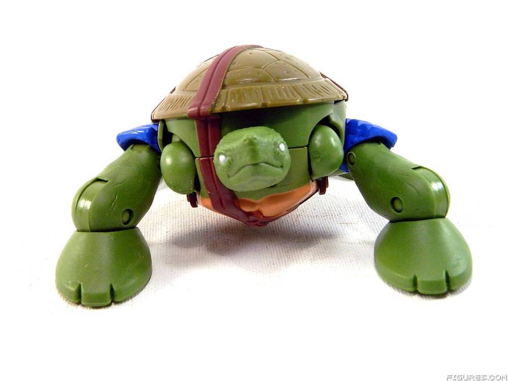 TMNT