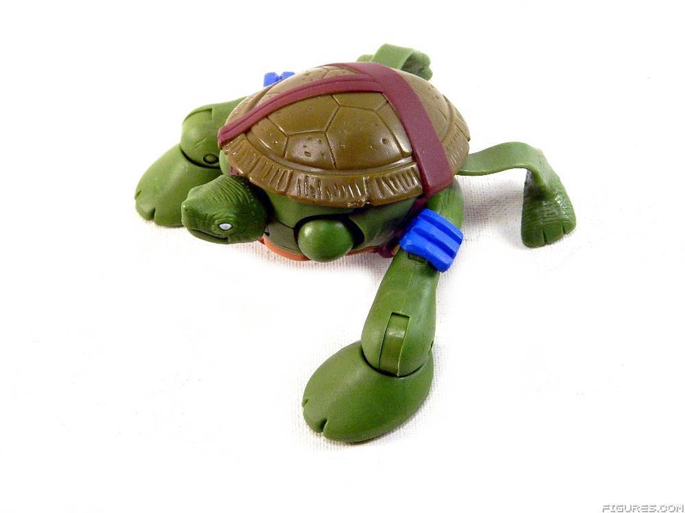 TMNT