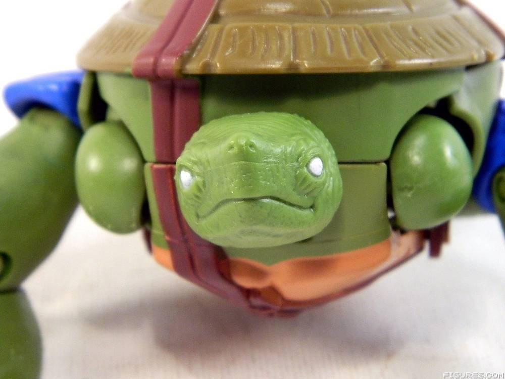 TMNT