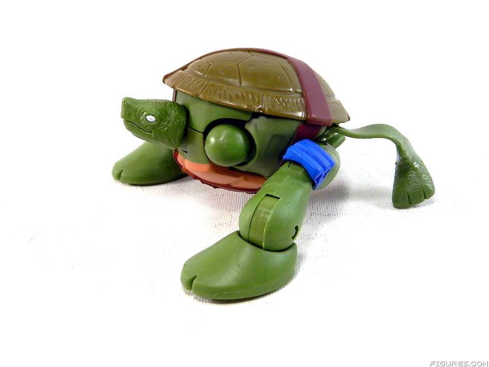 TMNT
