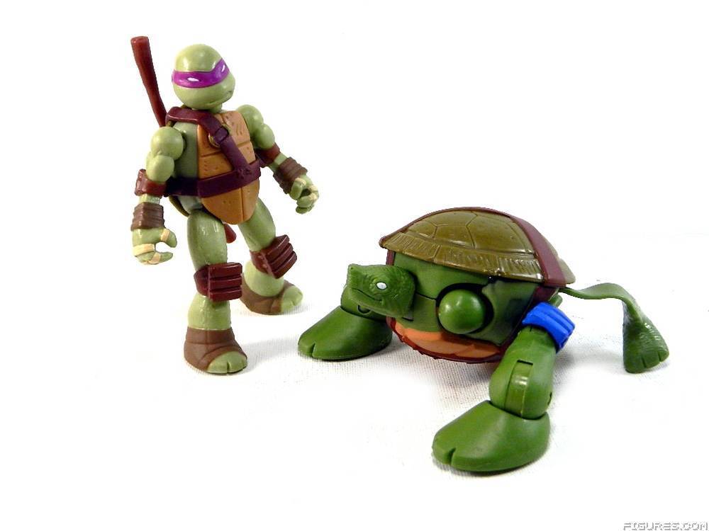 TMNT