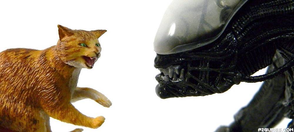 Alien