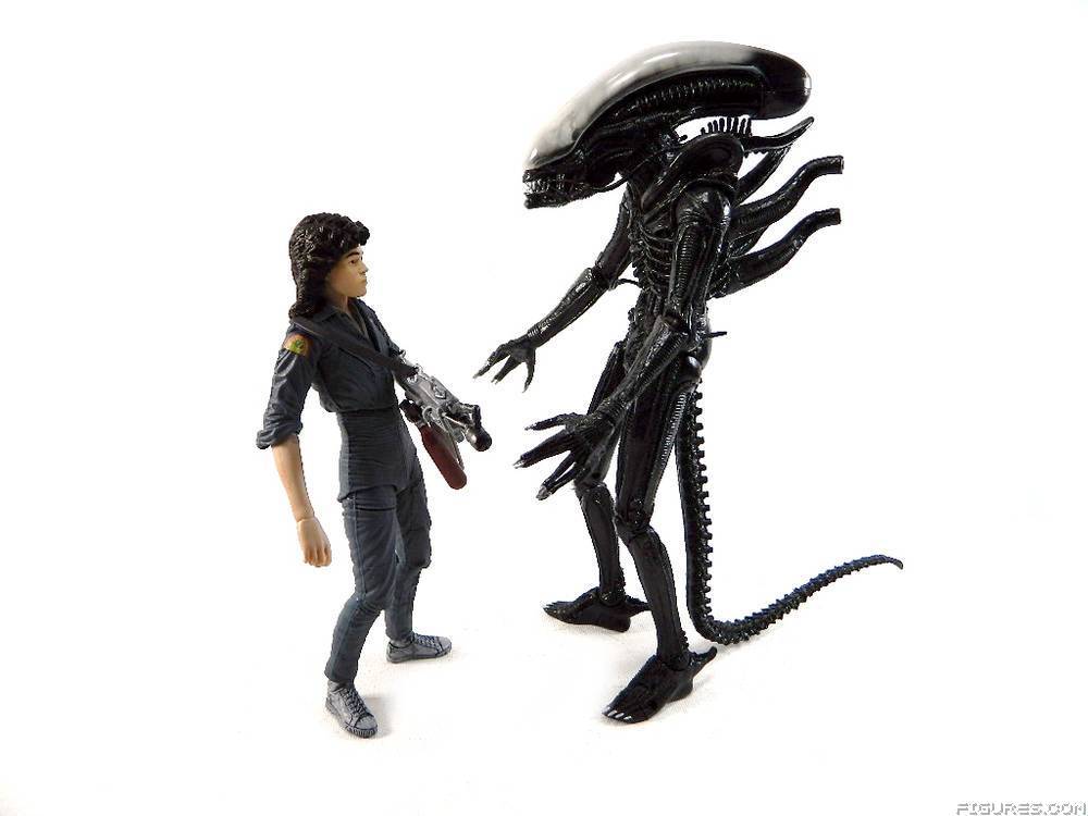 Alien
