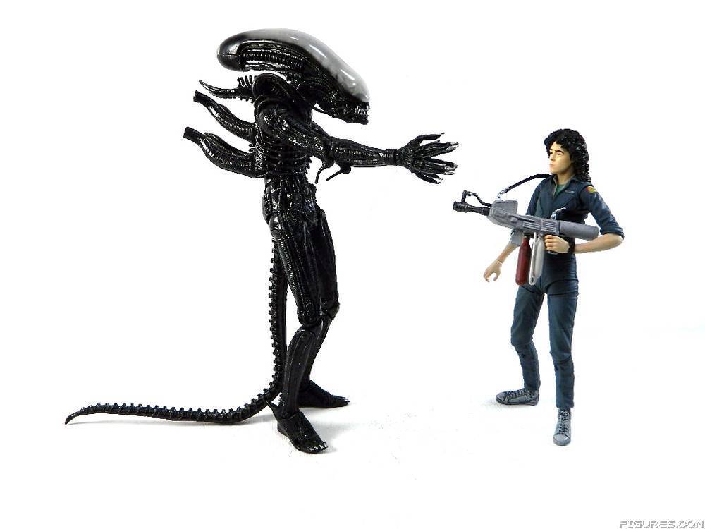 Alien