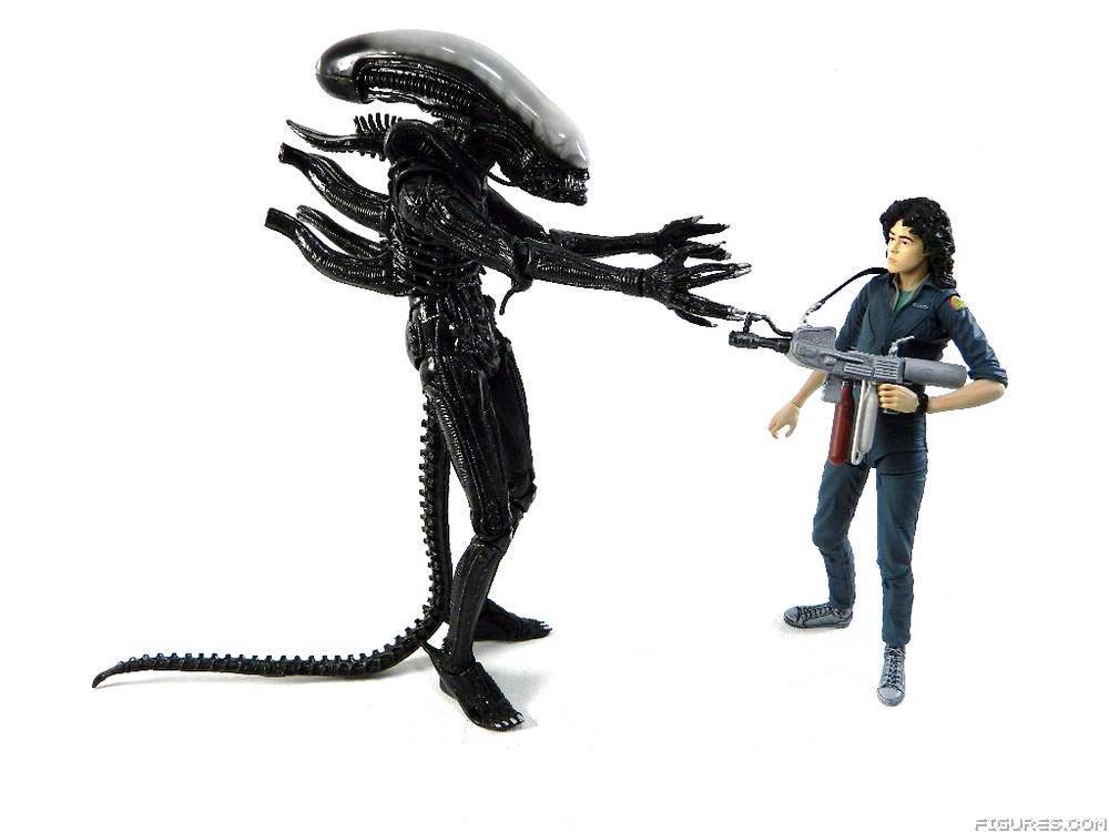 Alien